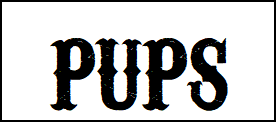 PUPS